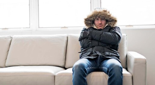 – Nordmenn er ikke nødvendigvis egoister selv om de vil ha billig strøm – Nordmenn er ikke nødvendigvis egoister selv om de vil ha billig strøm
