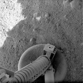 "Ett av de første bildene Phoenix tok, var av sin egen fot på Mars. (Foto: NASA/JPL-Caltech/University of Arizona)" "Ett av de første bildene Phoenix tok, var av sin egen fot på Mars. (Foto: NASA/JPL-Caltech/University of Arizona)"