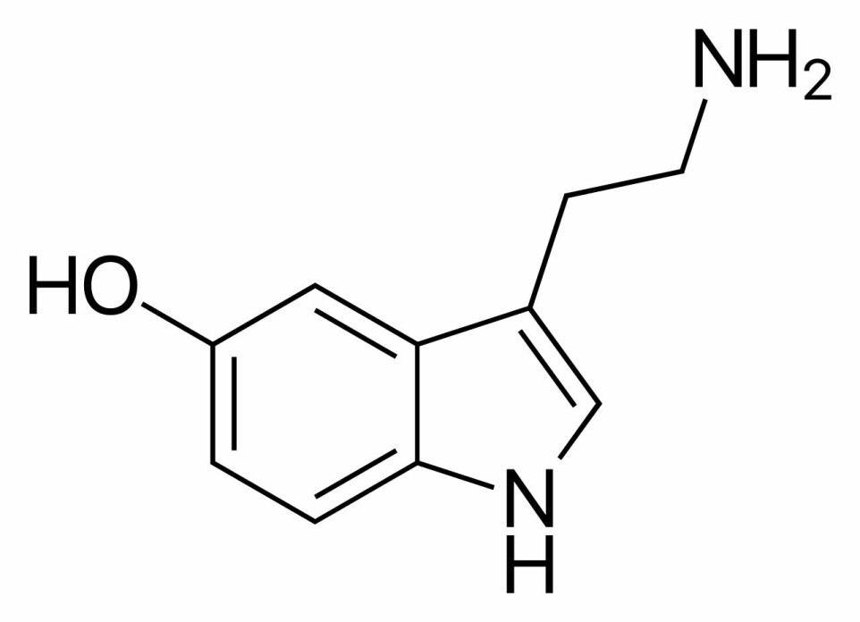 Den såkalte skjelett-formelen for et serotonin-molekyl.