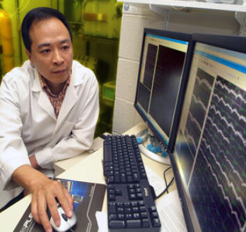 "- Vi har funnet en molekylær mekanisme for å fjerne spesifikke minner, sier Dr. Joe Z. Tsien (Foto: Medical College of Georgia)" "- Vi har funnet en molekylær mekanisme for å fjerne spesifikke minner, sier Dr. Joe Z. Tsien (Foto: Medical College of Georgia)"
