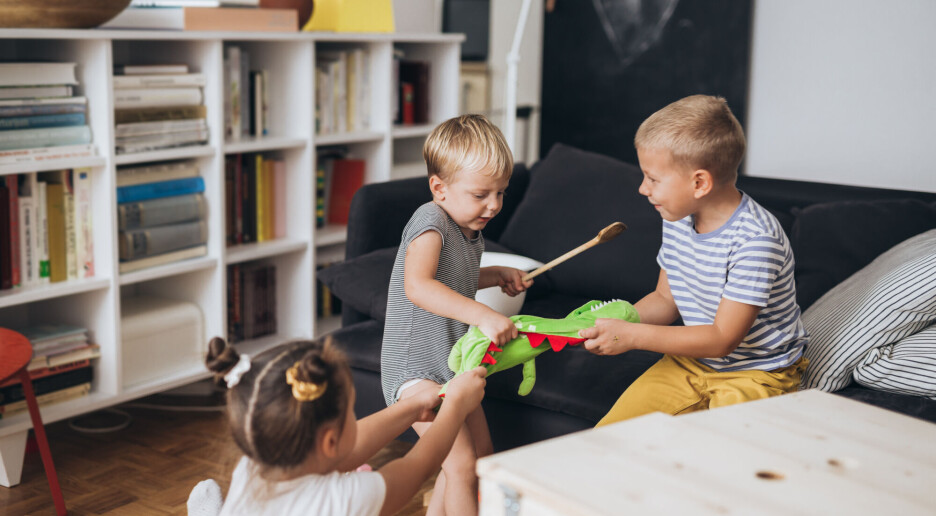 Søster eller bror? Det har trolig lite å si for personligheten din