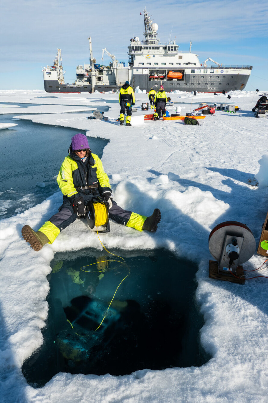Havforsker Zoe Koenig slipper ut linen til en fjernstyrt undervannsfarkost med kamera som går under isen for å lete etter alger.