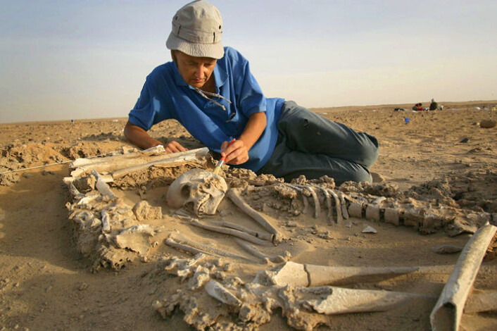 Arkeologen Elena Garcea fra University of Cassino i Italia børster vekk sand fra et skjelett. Garcea brukte potteskår og andre gjenstander til å identifisere de to folkegruppene som en gang bodde ved Gobero. (Foto: Mike Hettwer, Project Exploration) Arkeologen Elena Garcea fra University of Cassino i Italia børster vekk sand fra et skjelett. Garcea brukte potteskår og andre gjenstander til å identifisere de to folkegruppene som en gang bodde ved Gobero. (Foto: Mike Hettwer, Project Exploration)