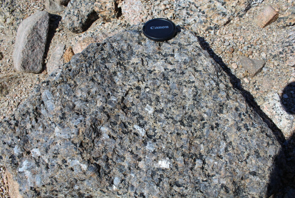 Bildet viser en nær antarktisk slektning av bergarten larvikitt.