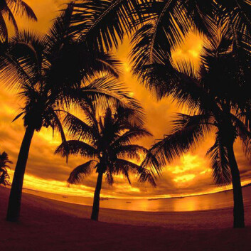 (Illustrasjonsfoto: Clipart) (Illustrasjonsfoto: Clipart)
