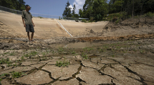 Klimaforsker om tørke på flere kontinenter: - Er blitt skremt