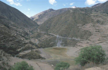 "La Maracocha er en uttørket innsjø i fjellene i Peru, og er gravefelt for Alex Chepstow-Lusty og teamet hans. (Foto: © Alex Chepstow-Lusty UMR CNRS 5059 " "La Maracocha er en uttørket innsjø i fjellene i Peru, og er gravefelt for Alex Chepstow-Lusty og teamet hans. (Foto: © Alex Chepstow-Lusty UMR CNRS 5059 "