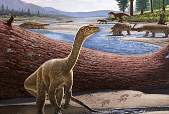 Fossiler fra Afrika forteller om starten på dinosaurenes tidsalder