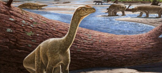 Fossiler fra Afrika forteller om starten på dinosaurenes tidsalder