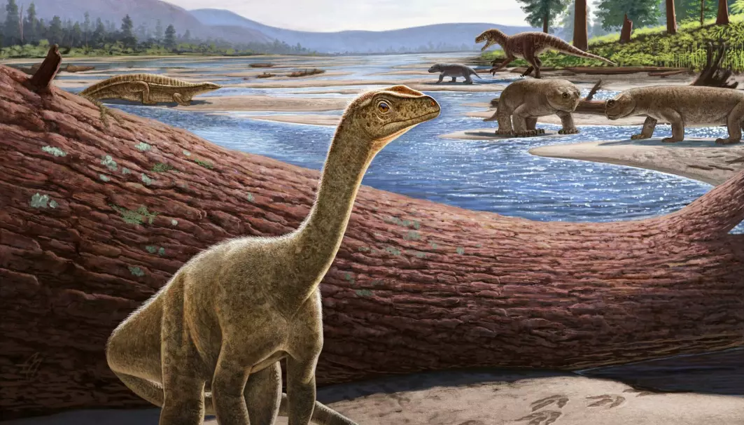 En ny dinosaurart er oppdaget i Afrika. Den er blant verdens eldste.