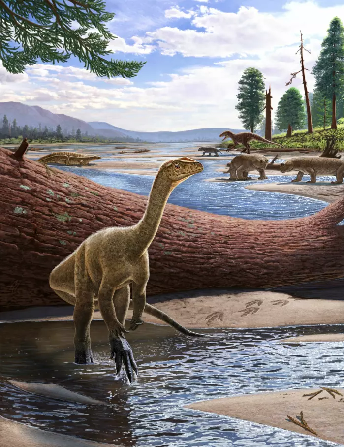 <span class=" italic" data-lab-italic_desktop="italic">Mbiresaurus raathi</span>. I bakgrunnen ser vi andre dyr som ble funnet sammen med dinosauren.
