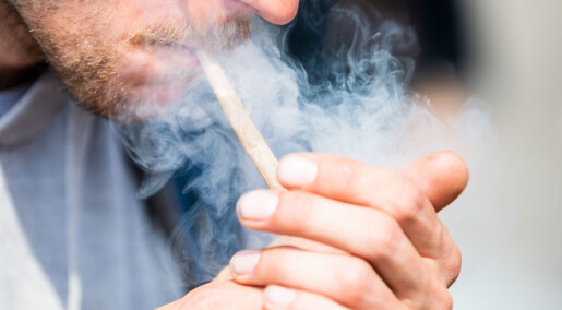 Forskere overrasket da de studerte cannabis­brukere