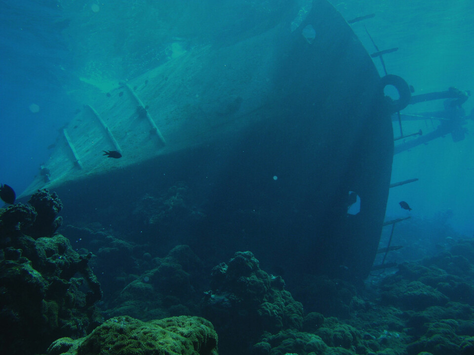 'Dette 100 fot lange skipet grunnstøtte ved Palmyra-atollen i 1991. Dette førte til at hele revet nå er truet av sjøanemonen Rhodactis howesii, mener forskerne. (Foto: Thierry M. Work, USGS)'