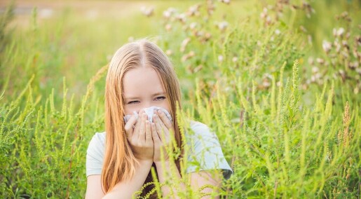 Plagsom plante kan forlenge pollensesongen