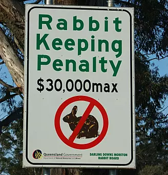 Fra Queensland i Australia. Reglene for å holde kaniner er strenge, og bøtene er store om du bryter disse reglene.