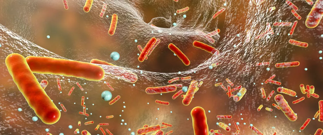 Dette er en 3D illustrasjon av en antibiotikaresistent bakterie inne i en biofilm. Dette er et miljø hvor bakteriene kan oppnå resistens mot antibiotika og kan kommunisere med hverandre med et minimum av sansemolekyler.