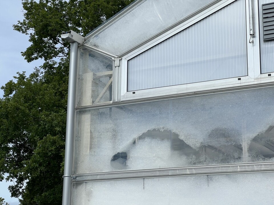 Såpebobler av Zalo isolerer dette drivhuset og skjermer planter for sterk sollys.