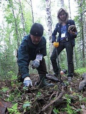 Professor emeritus Stein Ugelvik Larsen søkte gjennom området i Karelen i sommar. Her med den russiske assistenten Katarina Kirjanova. (Foto: Kaprolatkomiteen) Professor emeritus Stein Ugelvik Larsen søkte gjennom området i Karelen i sommar. Her med den russiske assistenten Katarina Kirjanova. (Foto: Kaprolatkomiteen)