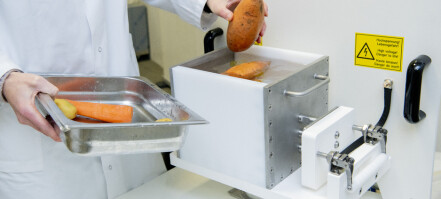 High pressure, ultrasound and UV light can keep food fresh and tasty for much longer