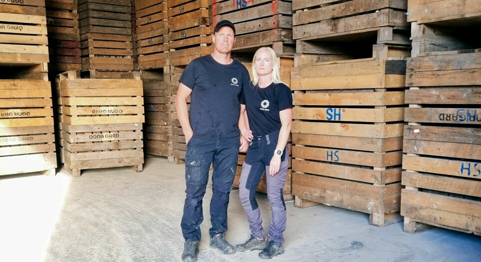 Sigbjørn og Marthe Skjørestad på Hå kommune i Rogaland har 150 mål gulrøtter. De må lagres kjølig utover vinteren - og det blir for dyrt med dagens strømpriser.
