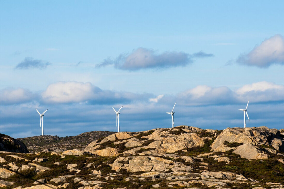 Energy policy involves weighing different factors, as in the case of wind turbines, where environmental concerns may be pitted against the need for renewable energy.