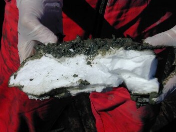 I Nyegga-området har gass fra dypereliggende olje- og gassfelt lekket til overflaten. Under høyt trykk og/eller lav temperatur blir gassen fanget i et isgitter. (Foto: IFM Geomar) I Nyegga-området har gass fra dypereliggende olje- og gassfelt lekket til overflaten. Under høyt trykk og/eller lav temperatur blir gassen fanget i et isgitter. (Foto: IFM Geomar)