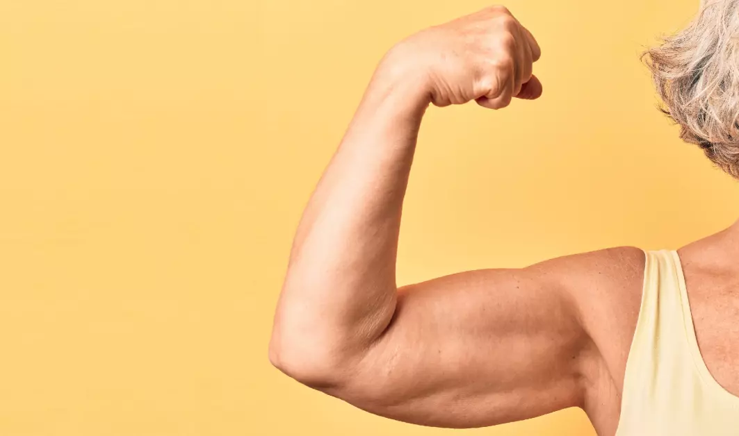 Dansk professor står i spissen for funnet av det proteinet som gir beskjed til musklene om å øke muskelmassen.