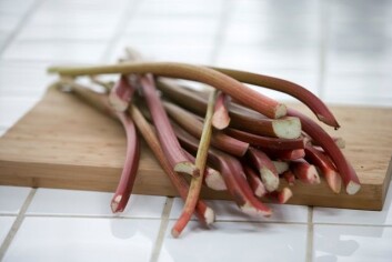 En smak av Norge: Rabarbra. (Foto: www.colourbox.no) En smak av Norge: Rabarbra. (Foto: www.colourbox.no)