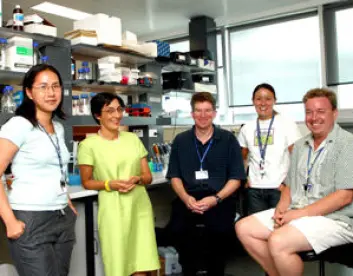 "Associate Professor Ranjeny Thomas og teamet ved UQ. (Foto: Cris Stacey)" "Associate Professor Ranjeny Thomas og teamet ved UQ. (Foto: Cris Stacey)"