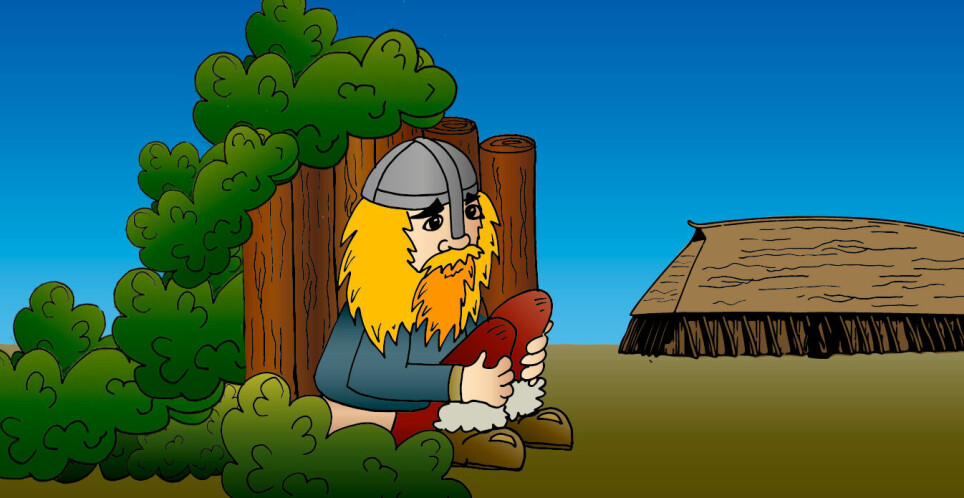 Vikingene led av innvollsormen piskeorm som spres via avføring. For første gang har forskere kartlagt et helt genom av piskeormer som holdt til blant vikinger for 1.000 år siden.