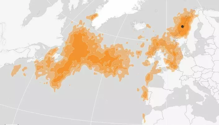 Kart fra SEATRACK nettapplikasjon som viser vinterutbredelsen av krykkje fra Sklinna/Sør-Gjæslingan-kolonien. Jo mørkere den oransje fargen, jo større er sannsynligheten for at fugler er i området.