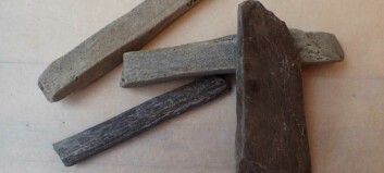 Slike steiner er trolig noe av det første vikingene solgte til utlandet