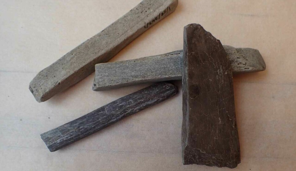 Hva skulle egentlig folk med så mange bryner for 1.300 år siden? De to lysegrå brynene ble funnet i Eidsborg i Telemark, mens de mørkeste er fra Mostadmarka i Trøndelag.