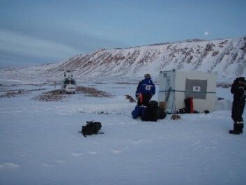 "Basen er etablert i Rijpfjorden og helikopteret setter kurs for Longyearbyen. (Foto: Stig Falk Petersen/Norsk Polarinstitutt)" "Basen er etablert i Rijpfjorden og helikopteret setter kurs for Longyearbyen. (Foto: Stig Falk Petersen/Norsk Polarinstitutt)"