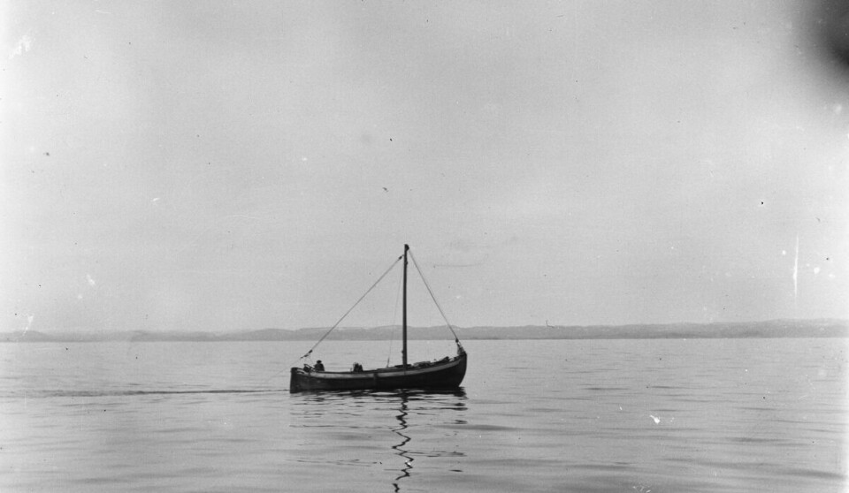 Shrimp trawler in the Langesund bat in 1925.