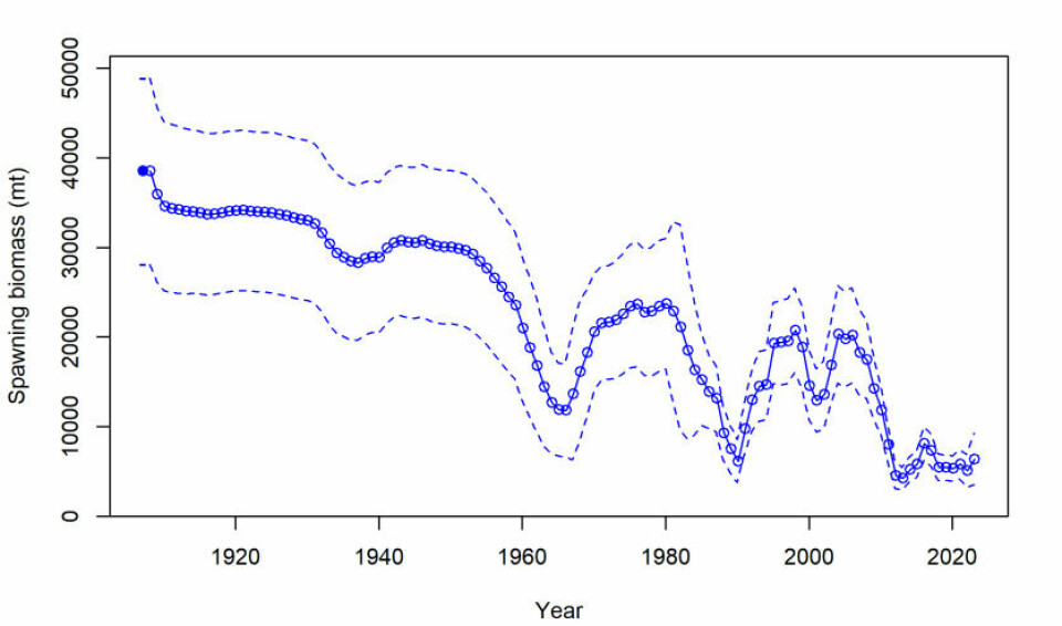 Historical estimated spawning biomass of shrimp in Skagerrak and the Norwegian Trench.