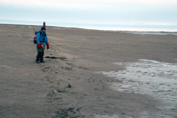 Forsker Astrid Lyså står her i dagens situasjon på Nord-Grønland: Her dannes det bare strandrygger formet av skruis og sjøis som skyves opp på land. Foto: Eiliv Larsen/NGU Forsker Astrid Lyså står her i dagens situasjon på Nord-Grønland: Her dannes det bare strandrygger formet av skruis og sjøis som skyves opp på land. Foto: Eiliv Larsen/NGU