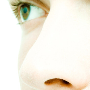 Foto: Colourbox.no Foto: Colourbox.no