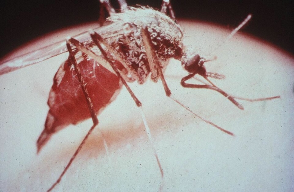 I følge verdens helseorganisasjon dør to barn i minuttet av malaria.