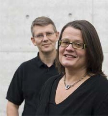 Arne Tjølsen og Frøydis Haugan har i dyreforsøk vist hvordan langvarig morfinbehandling gir overfølsomhet for smerte. (Foto: Thor Brødreskift). Arne Tjølsen og Frøydis Haugan har i dyreforsøk vist hvordan langvarig morfinbehandling gir overfølsomhet for smerte. (Foto: Thor Brødreskift).