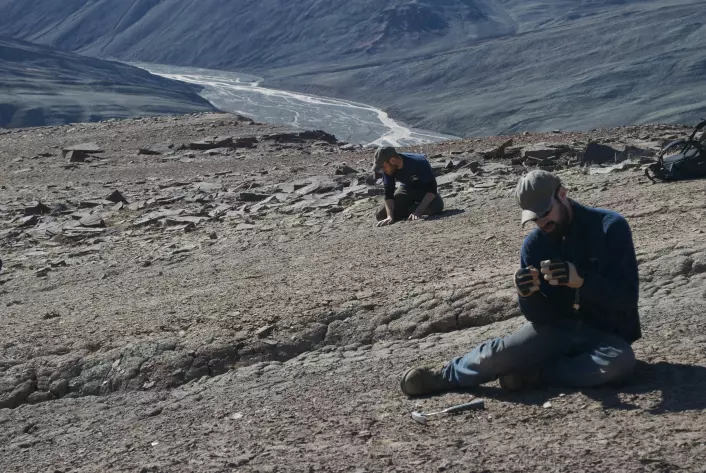 Jason Downs (foran) og Andrew Gillis leter etter fossiler i det canadiske Arktis, ikke langt fra steder hvor Tiktaalik roseae ble funnet i 2004.(Foto: Ted Daeschler)