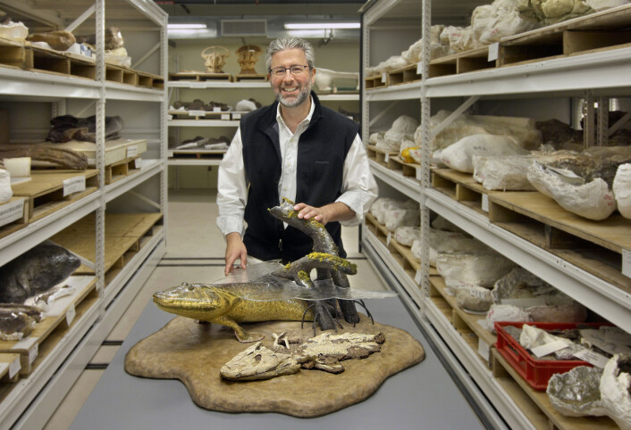 Paleontolog NeilShubin står bak en modell av Tiktaalik roseae i Dinosaur Collection Room ved Field Museum of Natural Historyt. (Foto: John Weinstein) Paleontolog NeilShubin står bak en modell av Tiktaalik roseae i Dinosaur Collection Room ved Field Museum of Natural Historyt. (Foto: John Weinstein)