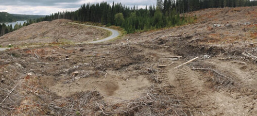 Er skogbruket den største trusselen mot artsmangfold i Norge?