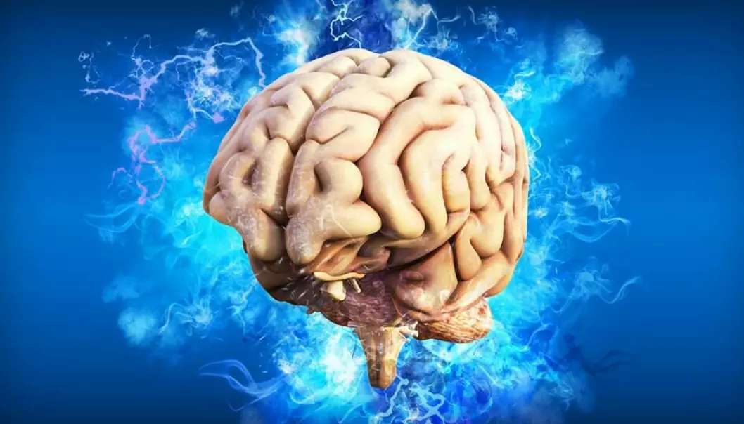 Forskarane har visst lite om kor fort legemiddel vert skilde ut i hjernen.