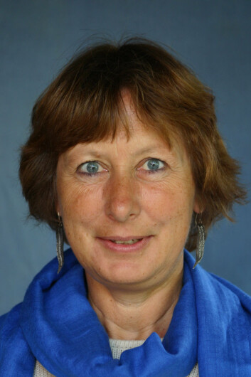 "- Barns uttalerett bør nedfelles i den nye utlendingsloven, mener ISF-forsker Hilde Lidén." "- Barns uttalerett bør nedfelles i den nye utlendingsloven, mener ISF-forsker Hilde Lidén."