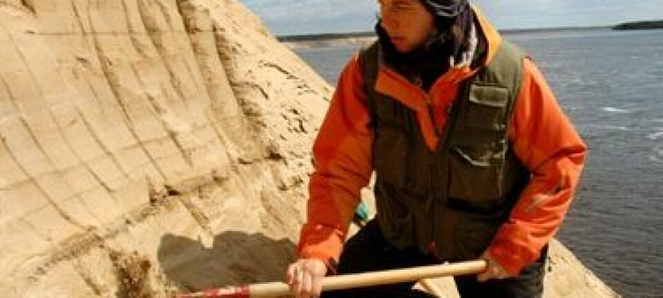 Forsker Maria Jensen graver i gammel sjøbunn på jakt etter fortidas klimaendringer. Her er hun i den lange Tolokonka-skjæringen ved elva Dvina. (Foto: Gudmund Løvø)