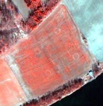 Satellittbilde av jorde ved Numedalslågen. De fire sirklene på jordet markerer ringgraver. Bildet er tatt av satellitten QuickBird. (Foto: Norsk Regnesentral/Norsk Romsenter/Riksantikvaren) Satellittbilde av jorde ved Numedalslågen. De fire sirklene på jordet markerer ringgraver. Bildet er tatt av satellitten QuickBird. (Foto: Norsk Regnesentral/Norsk Romsenter/Riksantikvaren)
