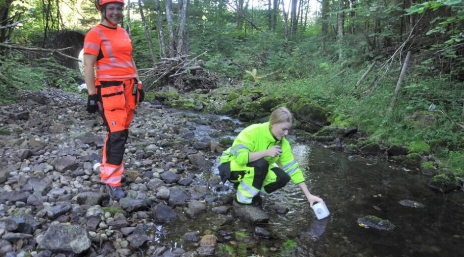Ytre miljørådgiver i Statens vegvesen på E16-prosjektet Ida Viddal Vartdal assisterer Johanna Skrutvold i NIBIO med ulike vannprøver i Rustanbekken.