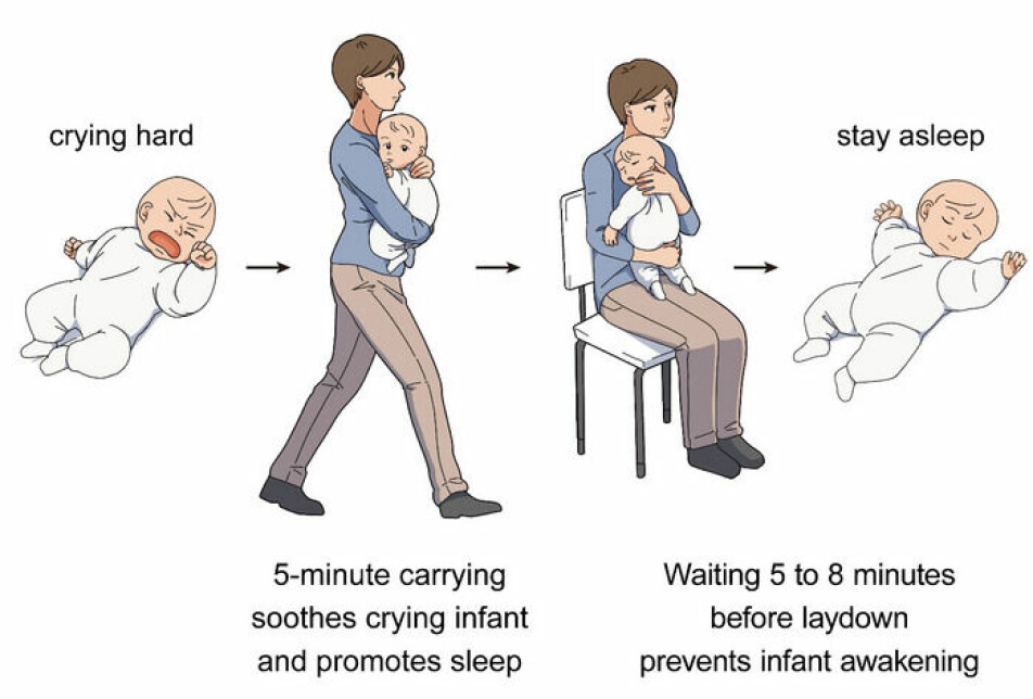Slik skisserer forskerne metoden for å få babyer til å sovne: Babyen gråter. Mor bærer barnet mens hun går i fem minutter. Så holder hun barnet i armene i fem til åtte minutter, for å hindre at barnet våkner. Babyen sover.