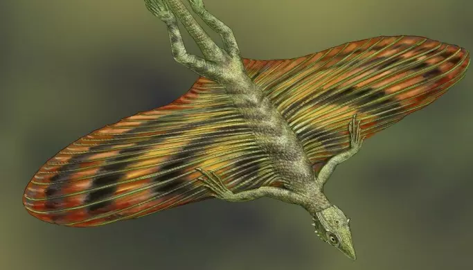 Forhistorisk «drageøgle» svevde mellom tretoppene for 250 millioner år siden